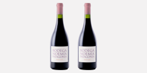 Bodega Noemía — Hans Vinding Diers